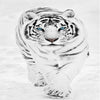 White Tiger 5D Diamond Painting Kit