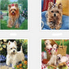 Li'l Dogs 5D Diamond Painting Kit