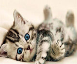 Cute Kittens 5D Diamond Painting Kit