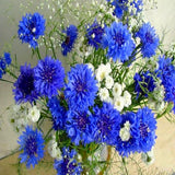 White And Blue Bouquet 5D Diamond Painting Kit