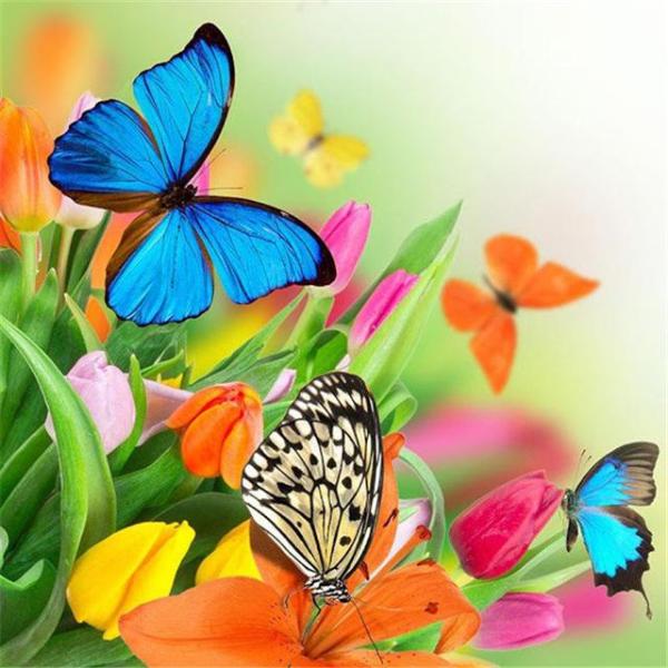 Colorful Butterflies Collection 5D Diamond Painting Kit
