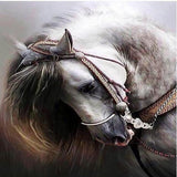 Andalusian Horse 5D Diamond Painting Kit
