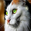 Green Eyed Cat 5D Diamond Painting Kit