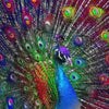 Peacock Plume 5D Diamond Painting Kit