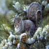 Pine Branch Squirrel 5D Diamond Painting Kit