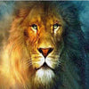 Big Cat Collection 5D Diamond Painting Kit