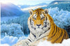 Big Cat Collection 5D Diamond Painting Kit