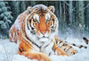 Big Cat Collection 5D Diamond Painting Kit