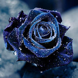 Blue Rose 5D Diamond Painting Kit