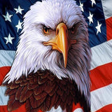 Dignity Of American Eagle 5D Diamond Painting Kit