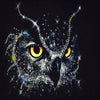 Crystal Glow Owl 5D Diamond Painting Kit