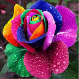 Rainbow Rose 5D Diamond Painting Kit