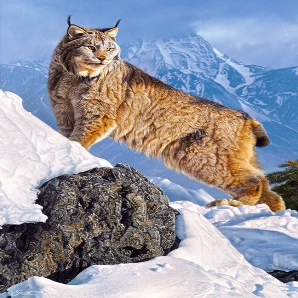 Lonely Mountain Lynx 5D Diamond Painting Kit