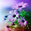 Delicate Lilac Flowers 5D Diamond Painting Kit