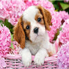 Puppy In Flower Basket 5D Diamond Painting Kit