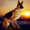 Dog Collection 5D Diamond Painting Kit