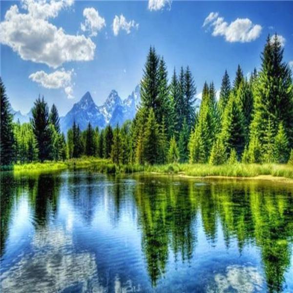 Forest Lake 5D Diamond Painting Kit