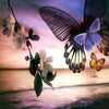 Evening Butterflies 5D Diamond Painting Kit