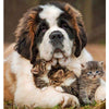 Saint Bernard Nurse 5D Diamond Painting Kit