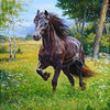 Summer Time Pasture 5D Diamond Painting Kit