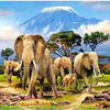 Life By Kilimanjaro 5D Diamond Painting Kit