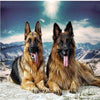 Mountain Shepherds 5D Diamond Painting Kit