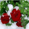 Winter Roses 5D Diamond Painting Kit