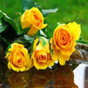 Yellow Roses 5D Diamond Painting Kit