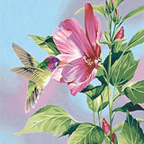 Hibiscus Hummingbird 5D Diamond Painting Kit