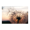 Dandelion Flight 5D Diamond Painting Kit