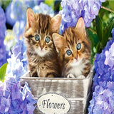 Flowerpot Kittens 5D Diamond Painting Kit