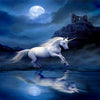 Unicorn Night 5D Diamond Painting Kit