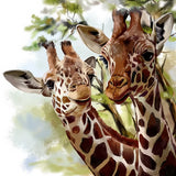 Giraffe Couple 5D Diamond Painting Kit