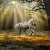 Sunbeam Unicorn 5D Diamond Painting Kit