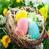 Easter Egg Nest 5D Diamond Painting Kit