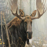Foggy Forest Moose 5D Diamond Painting Kit