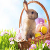 Easter Bunny Basket 5D Diamond Painting Kit