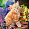 Ginger Kitten 5D Diamond Painting Kit