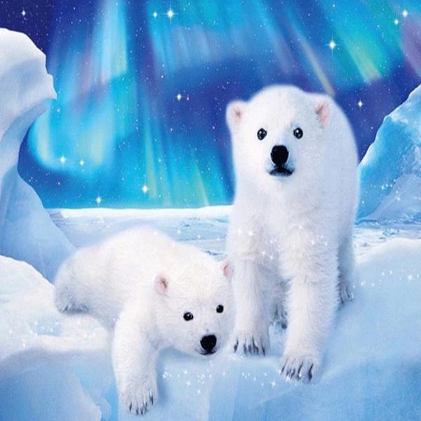 Polar Bear Cubs 5D Diamond Painting Kit