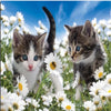 Kitten Adventure 5D Diamond Painting Kit