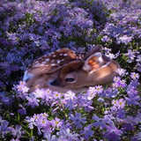 Flowerbed Bambi 5D Diamond Painting Kit