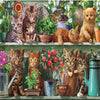 Flowery Kitten Rack 5D Diamond Painting Kit