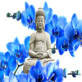 Buddha With Blue Orchids 5D Diamond Painting Kit