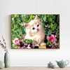 Creamy Kitten 5D Diamond Painting Kit