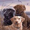 Three Labradors 5D Diamond Painting Kit