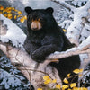 Bear Scoping Spot 5D Diamond Painting Kit