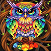 Rainbow Coat Owl 5D Diamond Painting Kit