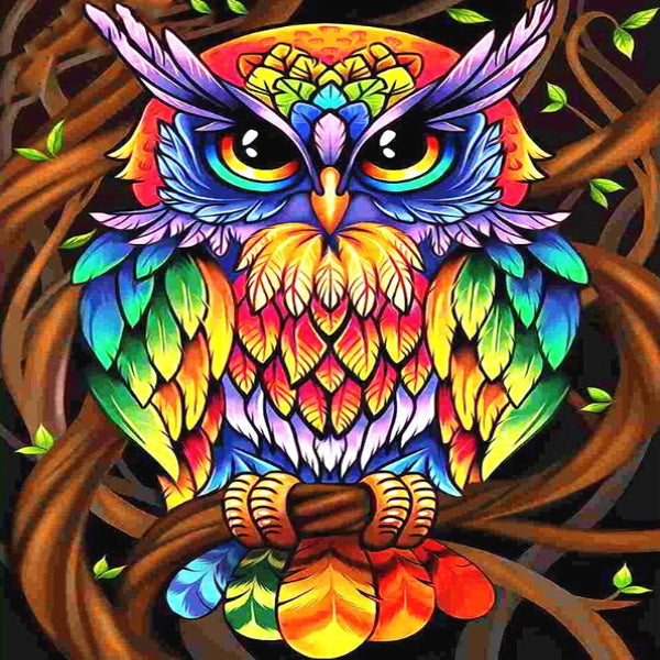 Rainbow Coat Owl 5D Diamond Painting Kit