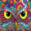 Colorful Owl Gaze 5D Diamond Painting Kit