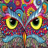 Colorful Owl Gaze 5D Diamond Painting Kit